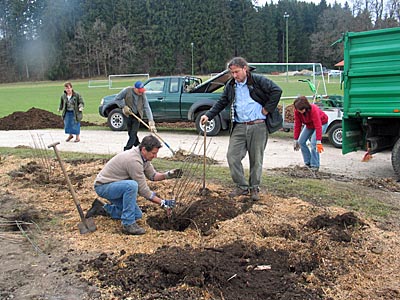 Ulrich Unützer bei der Neupflanzung