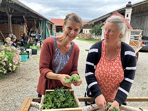 Wagenbinden zur Leonhardifahrt