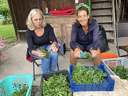 Wagenbinden zur Leonhardifahrt